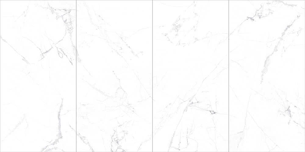 5-JH241231-.jpg 5-JH241231-.jpg